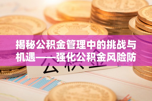 建华揭秘公积金管理中的挑战与机遇——强化公积金风险防控的多维策略