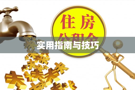 建华实用指南与技巧