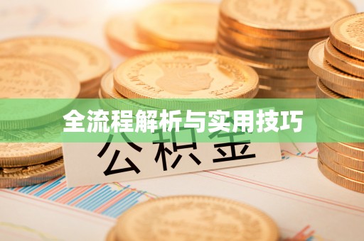 建华全流程解析与实用技巧