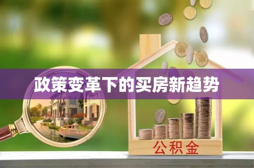建华政策变革下的买房新趋势
