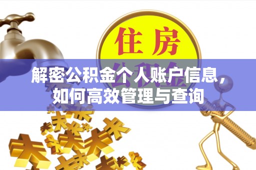 建华解密公积金个人账户信息，如何高效管理与查询